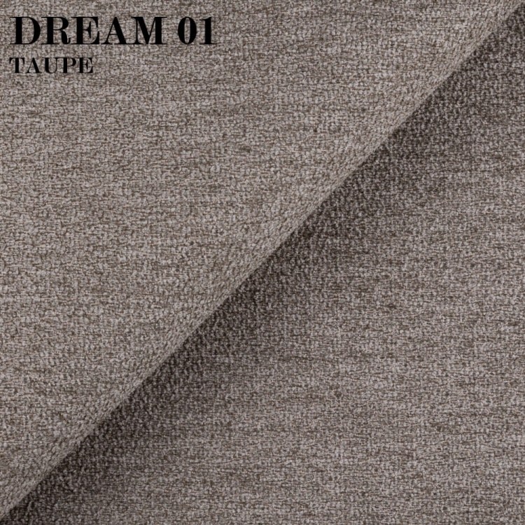 DREAM 01