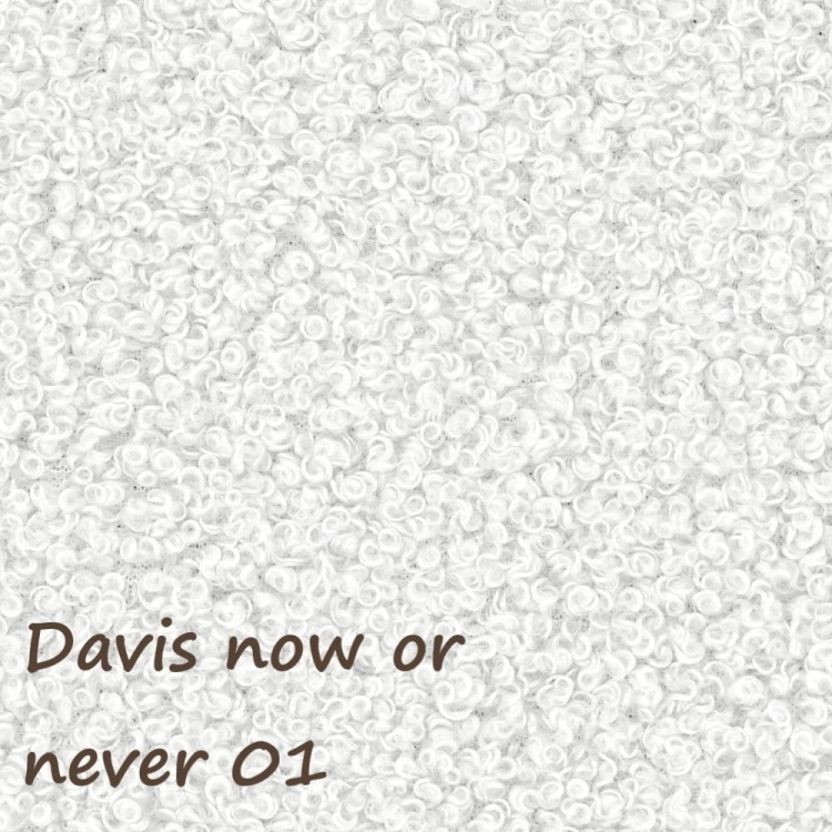 Now or never 01