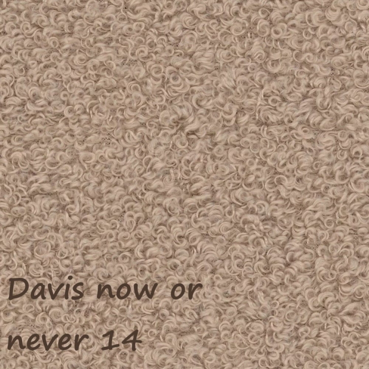 Now or never 14