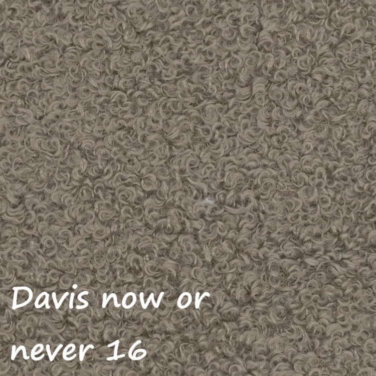Now or never 16