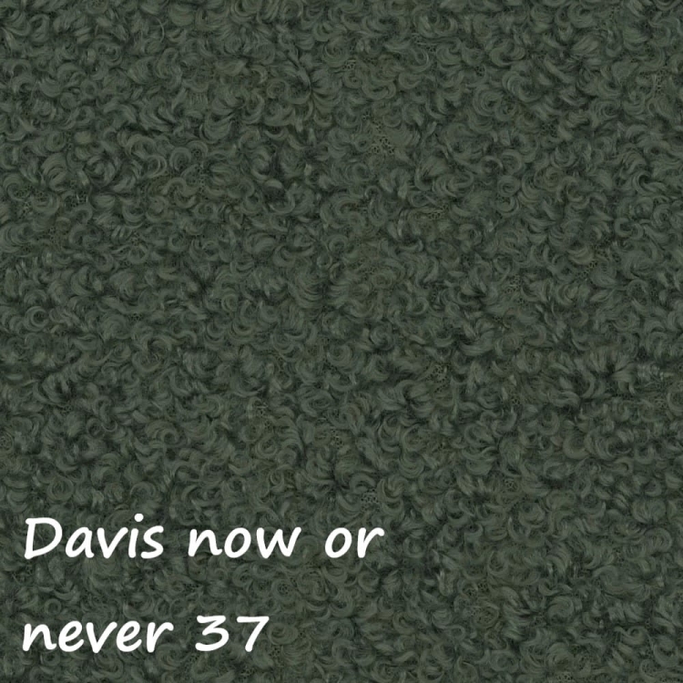 Now or never 37