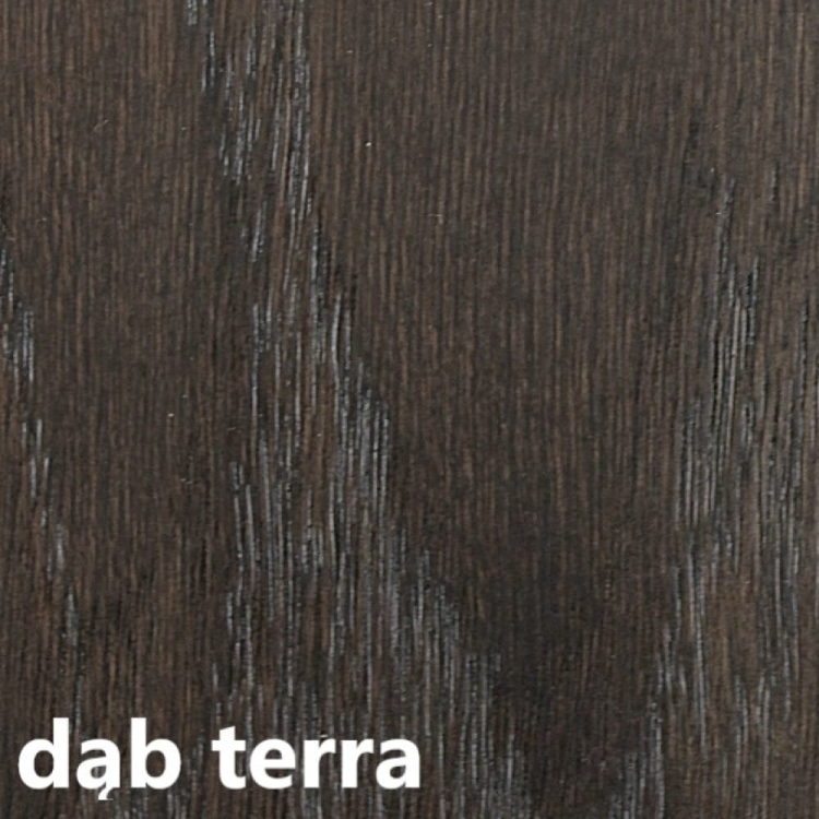 dąb terra.jpg