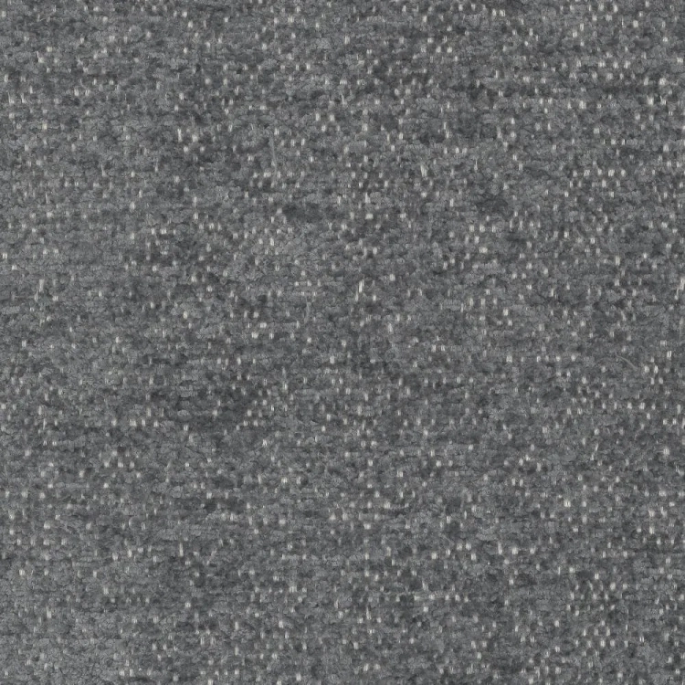 raven-10