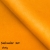 salvador 10