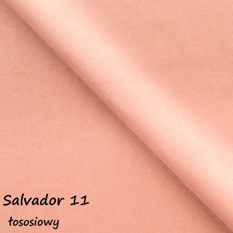 salvador 11