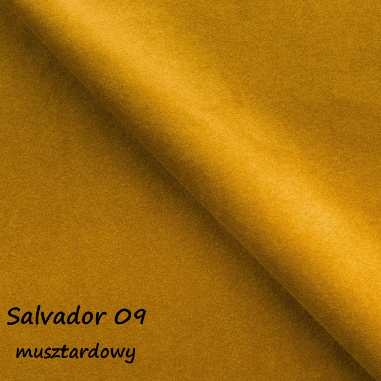 salvador 09