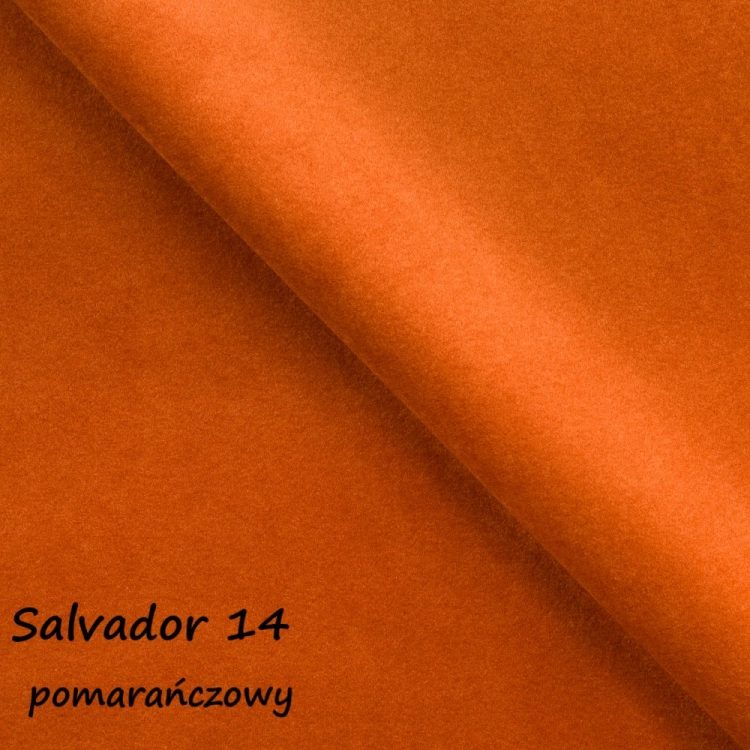 salvador 14