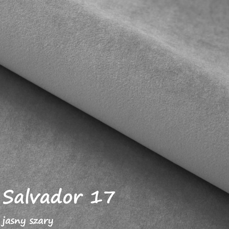 salvador 17