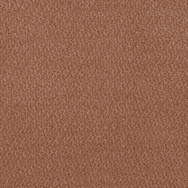 vinci-42.webp