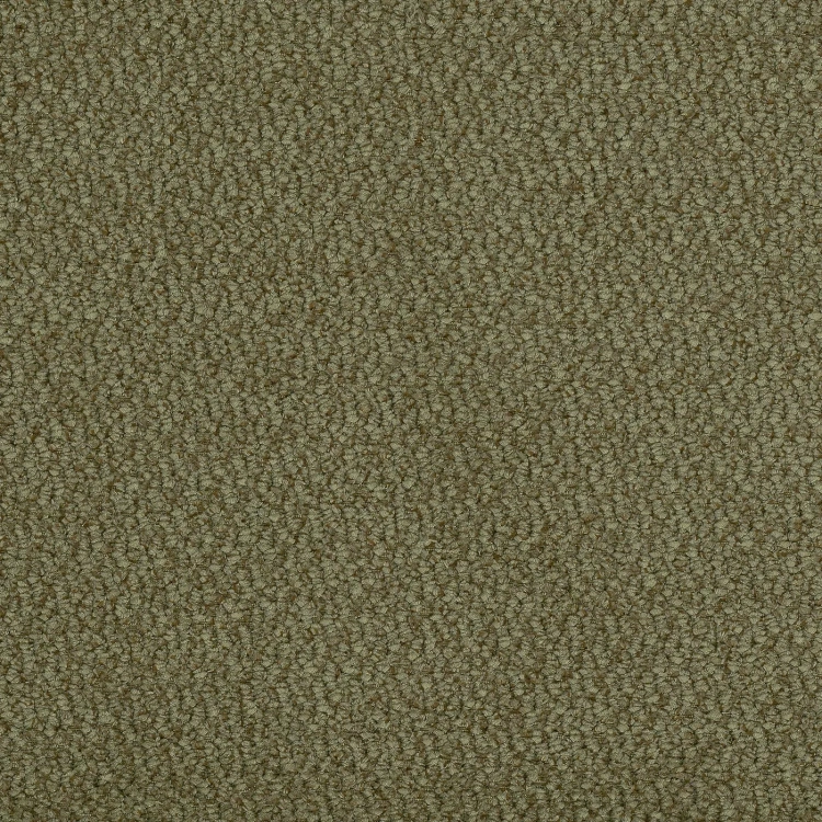 vinci-75.webp