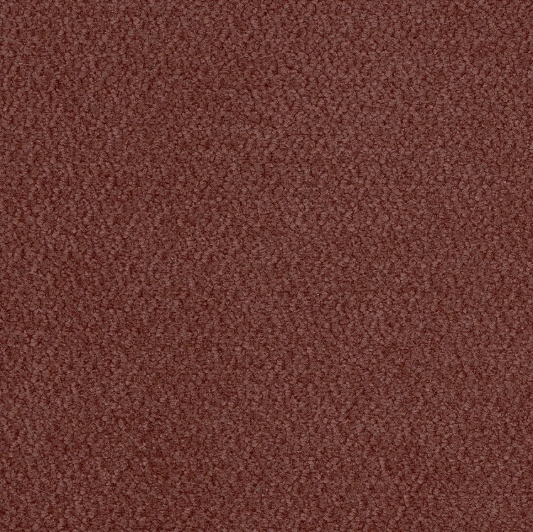 vinci-46.webp