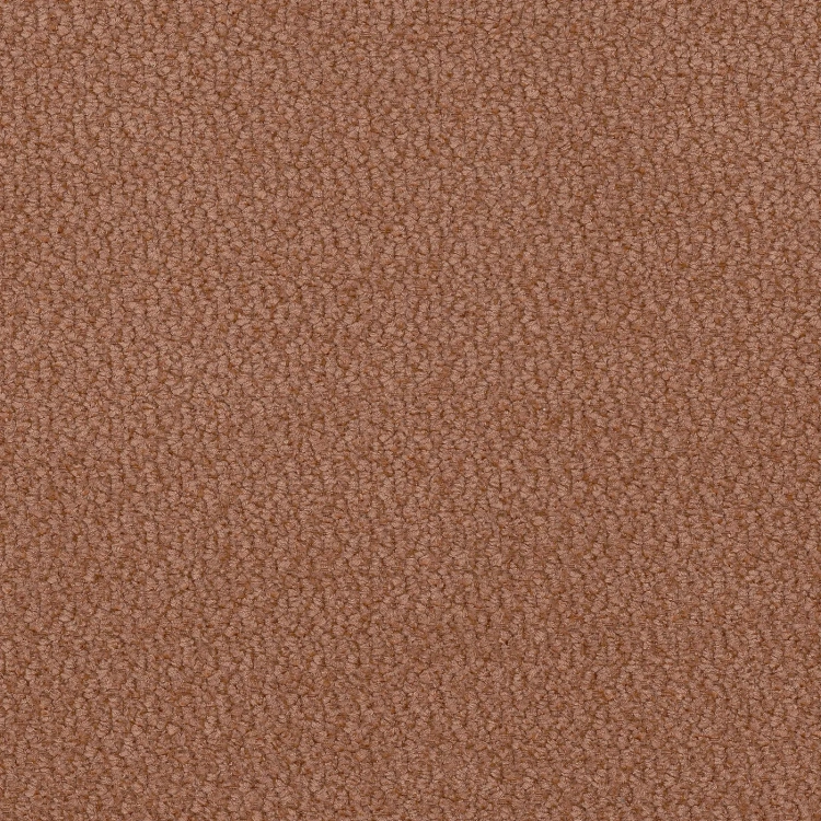 vinci-42.webp
