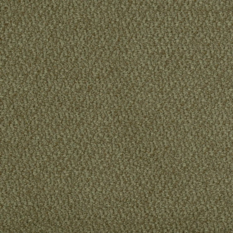vinci-75.webp
