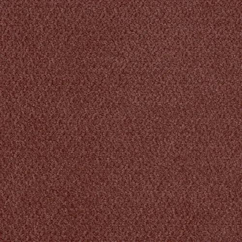 vinci-46.webp