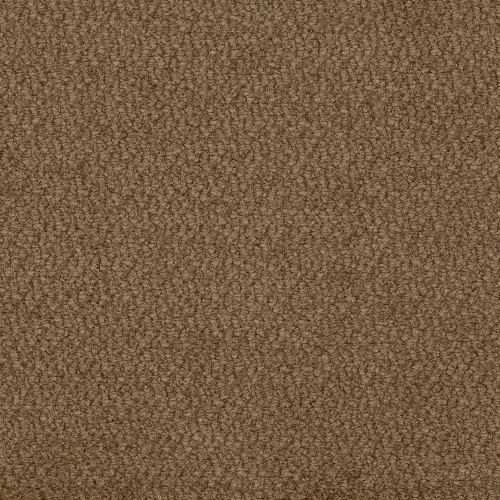 vinci-41.webp
