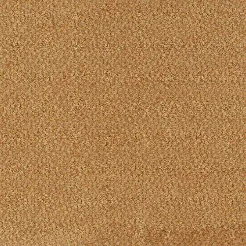 vinci-68.webp