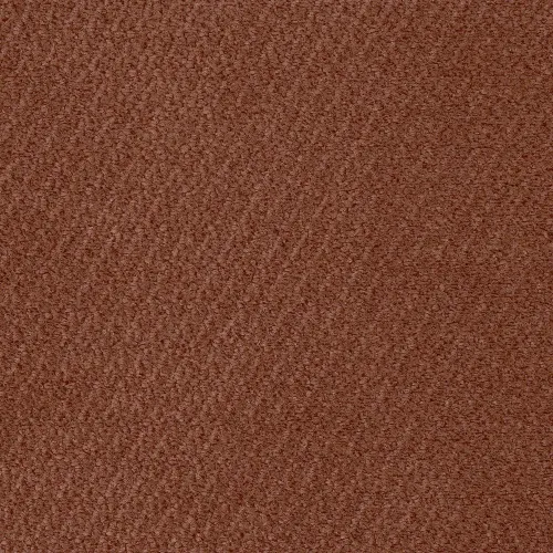 vinci-56.webp