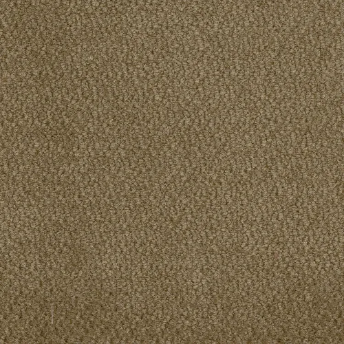 vinci-69.webp