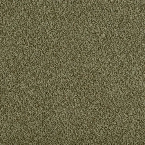 vinci-75.webp