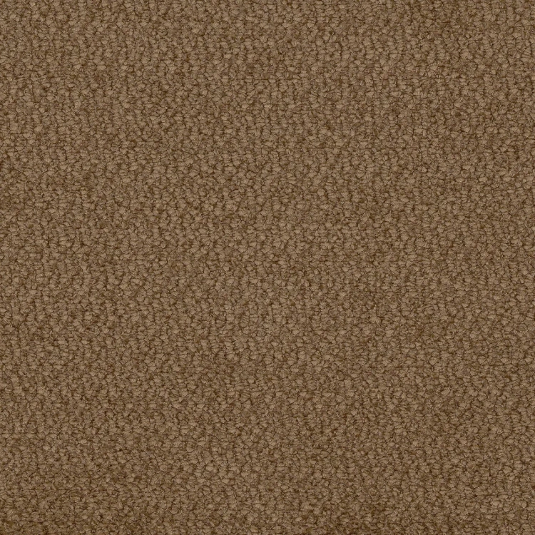 vinci-41.webp