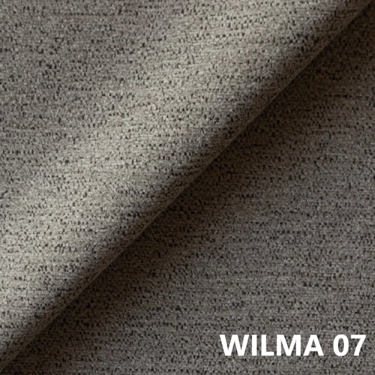 wilma-07.jpg