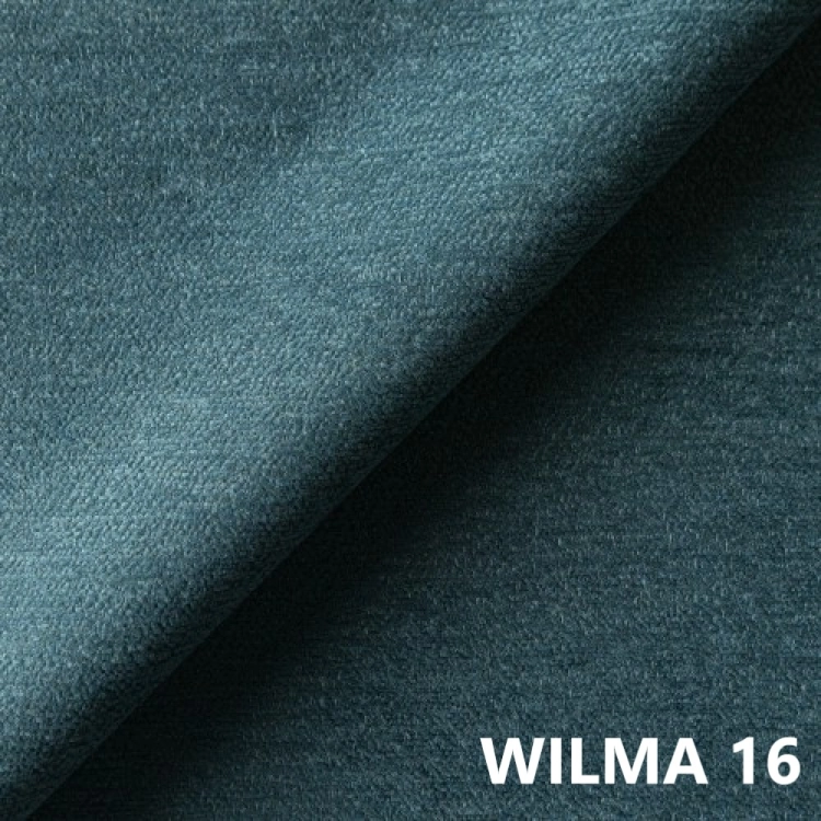 wilma-16.jpg