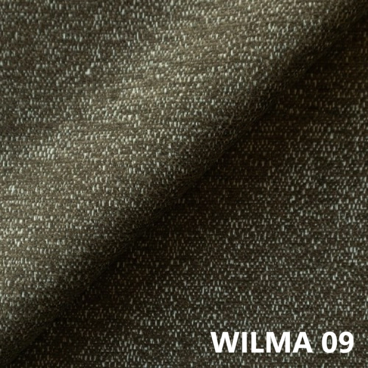wilma-09.jpg