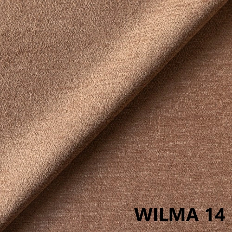 wilma-14.jpg