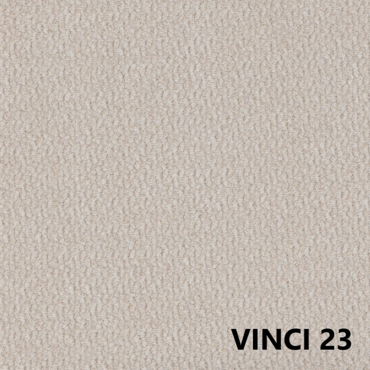vinci-23.jpg