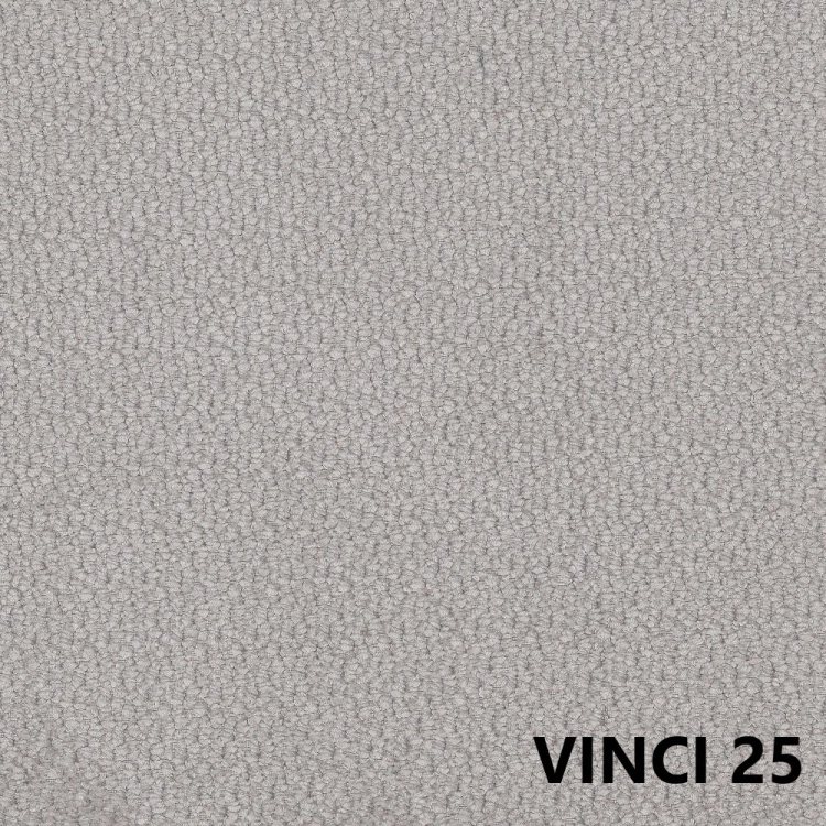 vinci-25.jpg