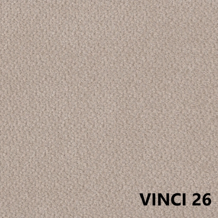 vinci-26.jpg