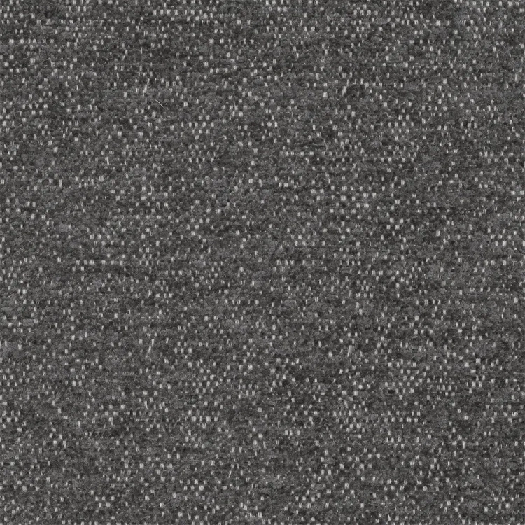 raven-13.webp