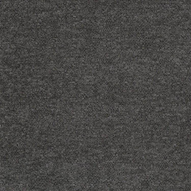 raven-15.webp