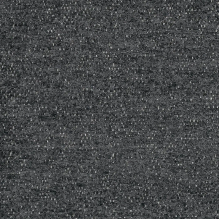 raven-16.webp