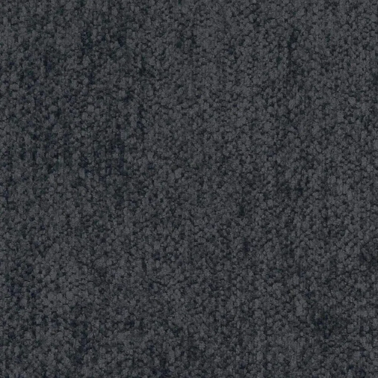 raven-18.webp
