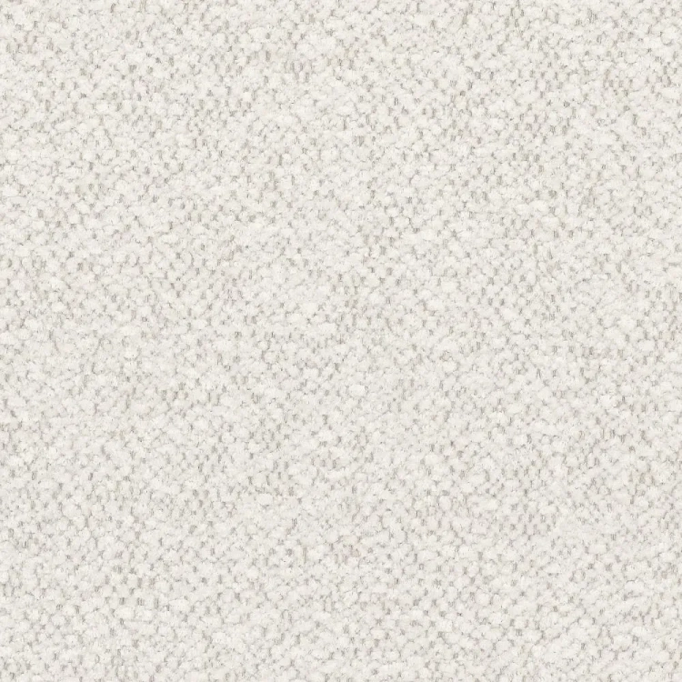raven-22.webp