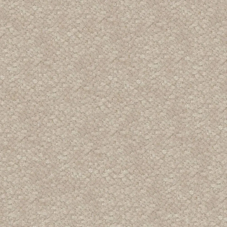 raven-28.webp