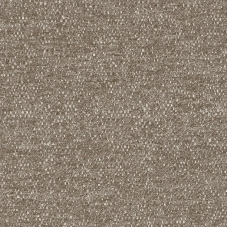 raven-34.webp
