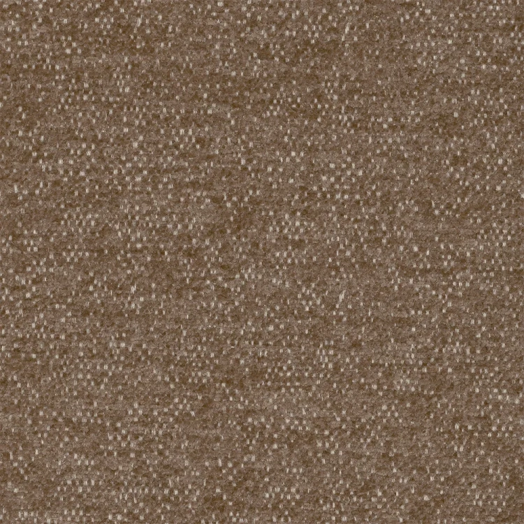 raven-38.webp