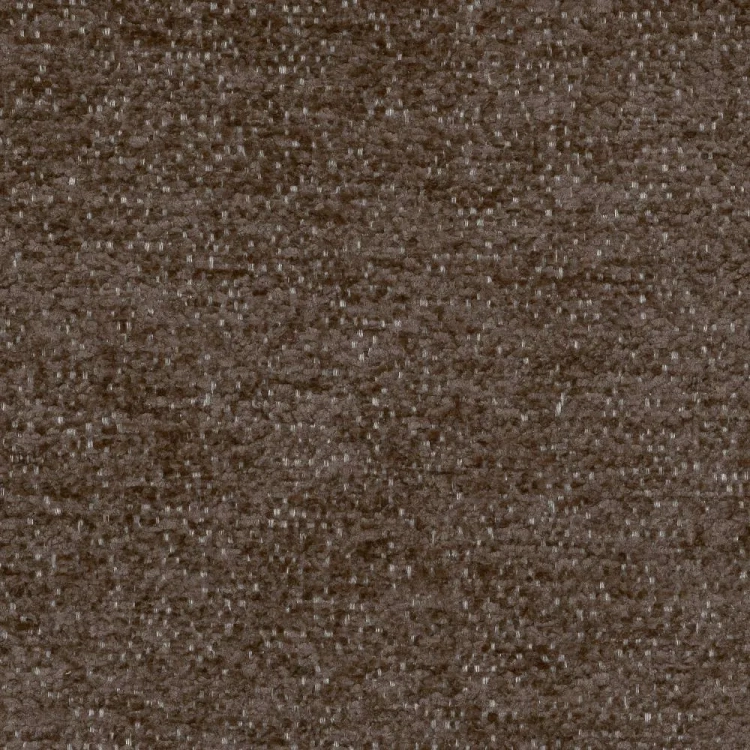 raven-45.webp