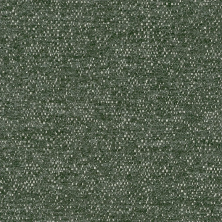 raven-77.webp