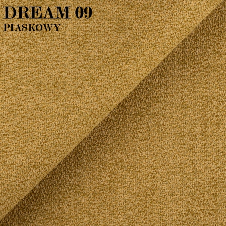 DREAM 09.jpg