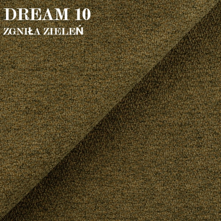 DREAM 10.jpg