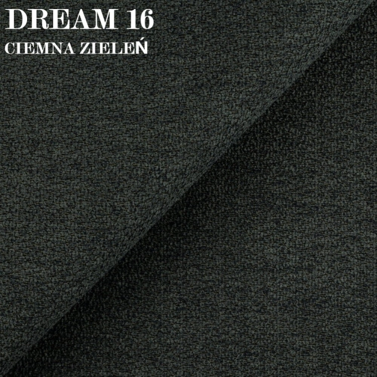 DREAM 16.jpg
