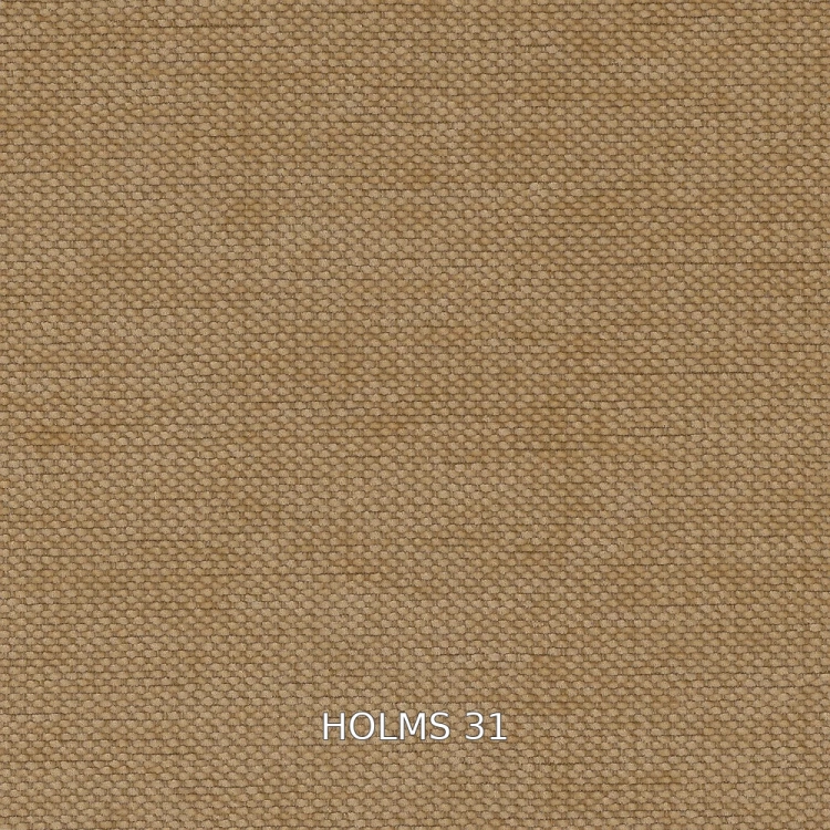 HOLMS-31-1000x1000.jpg