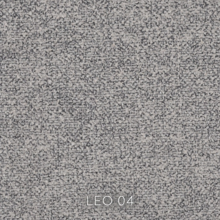 leo-04.jpg