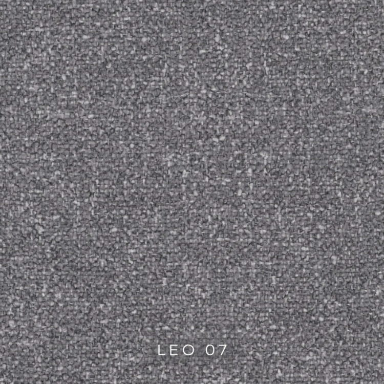 leo-07.jpg