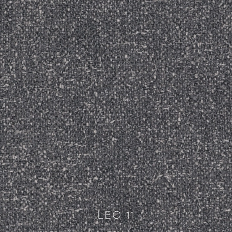 leo-11.jpg