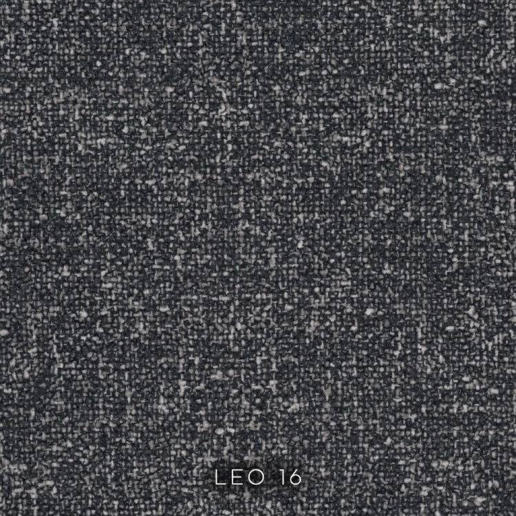 leo-16.jpg