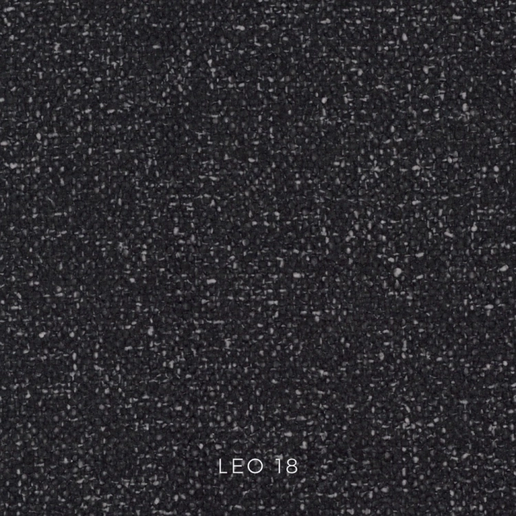 leo-18.jpg